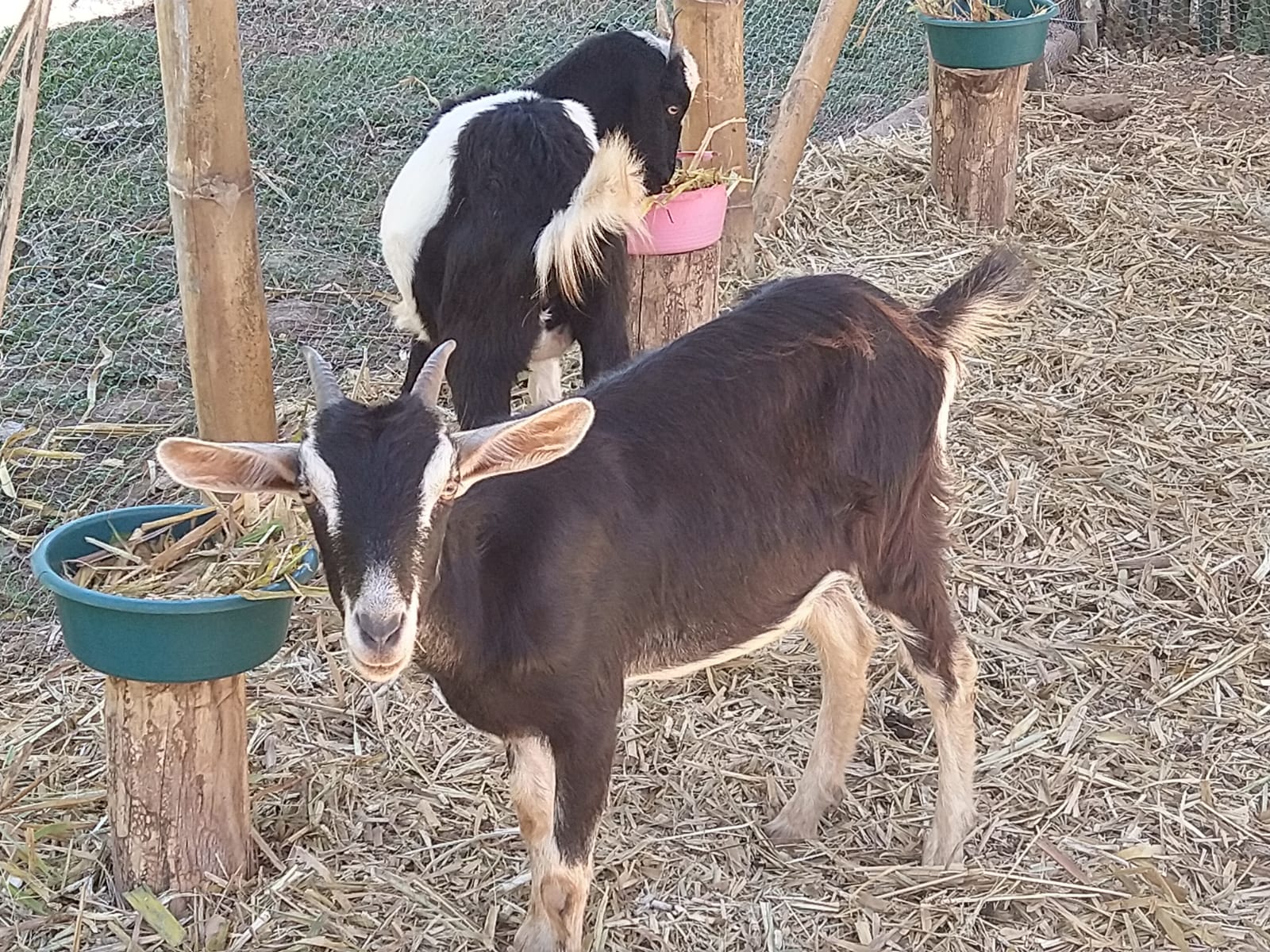 Eventos Corporativos